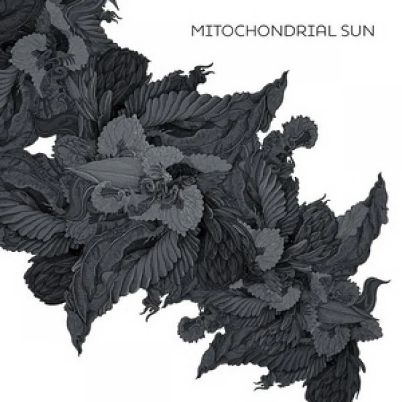 Mitochondrial Sun Vinyl Record