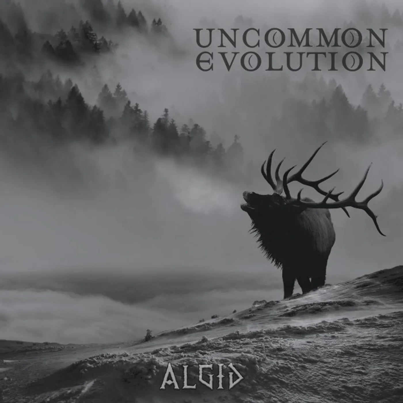 Uncommon Evolution Algid Vinyl Record