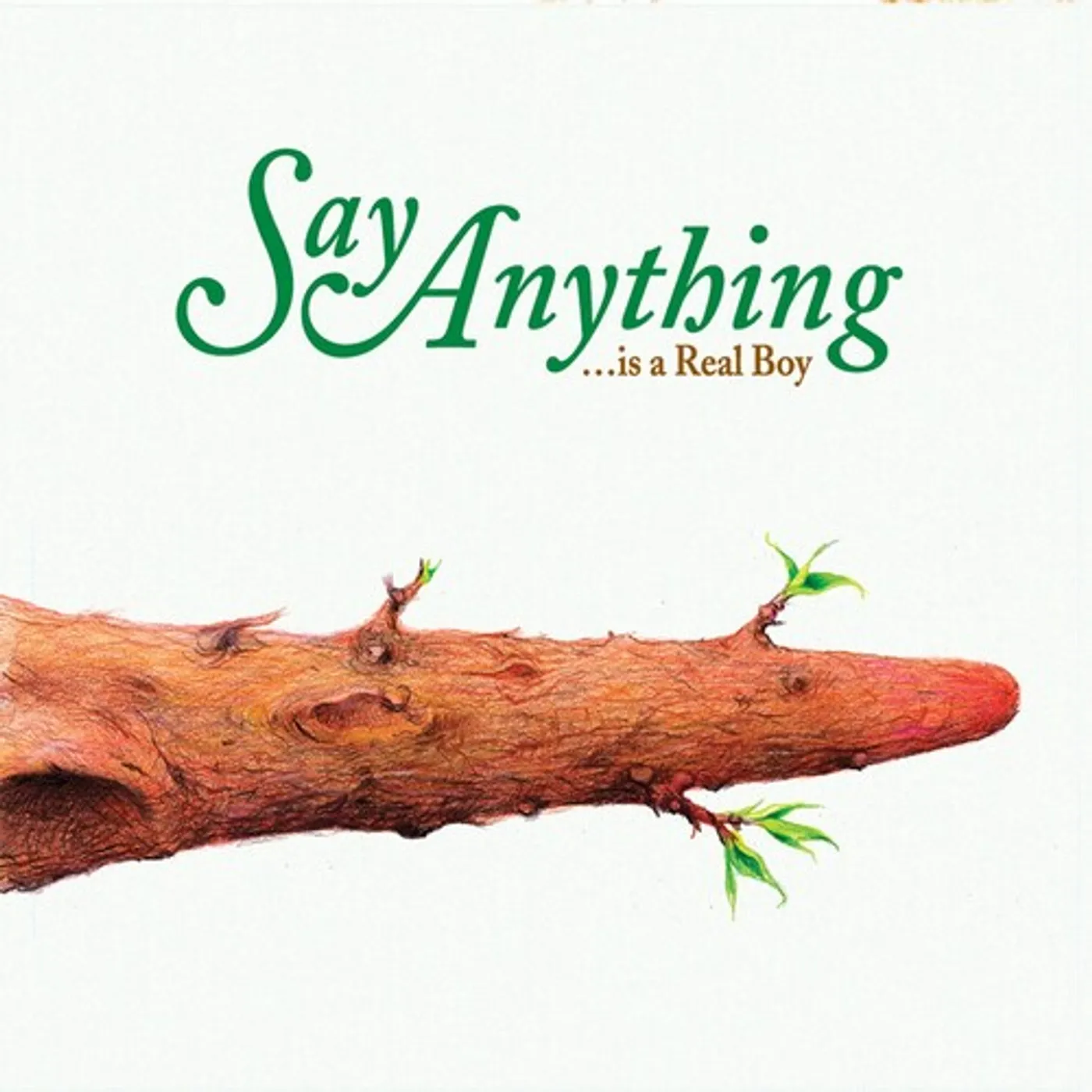 Say Anything  Is A Real Boy (2LP) Vinyl Record