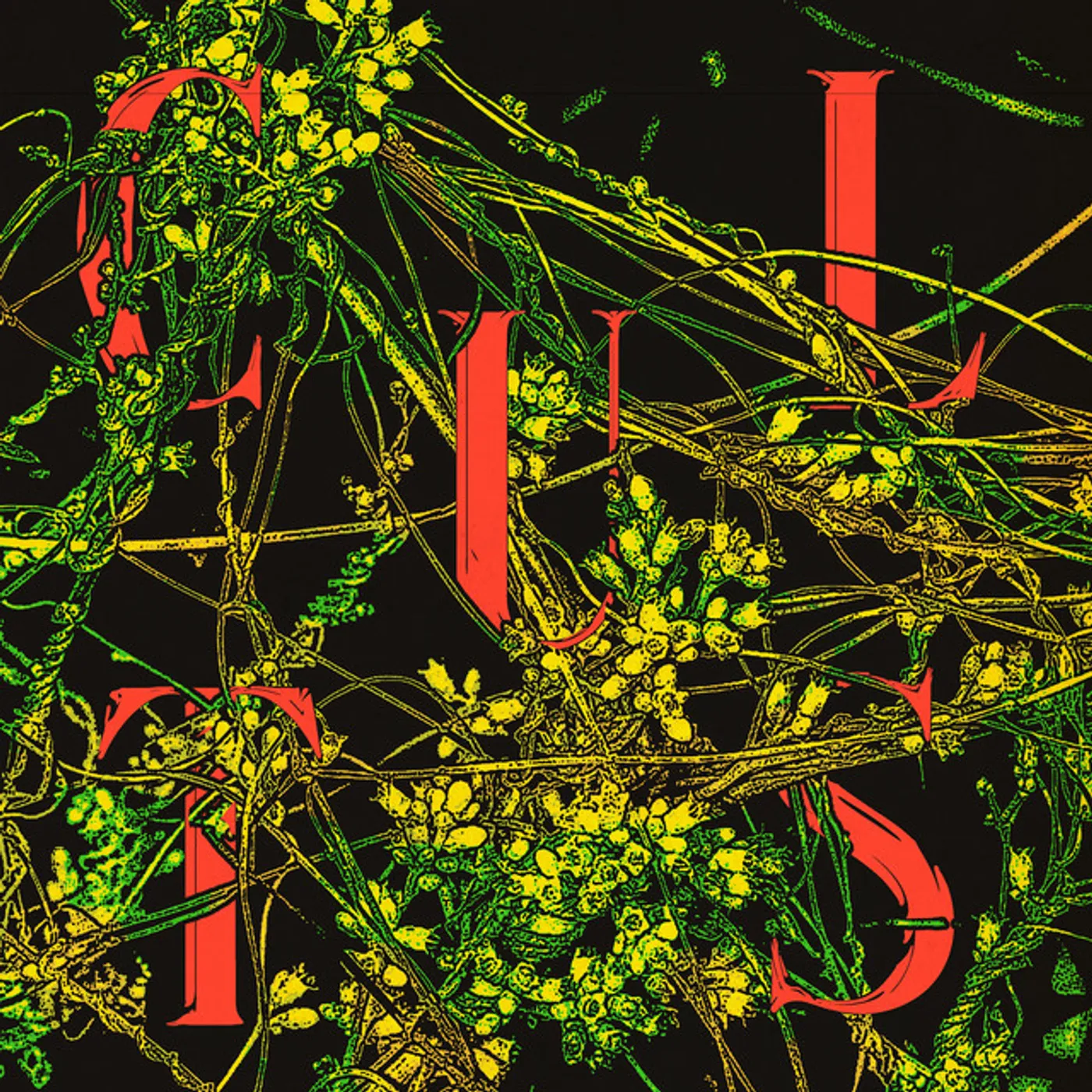 Cults Host Vinyl Record