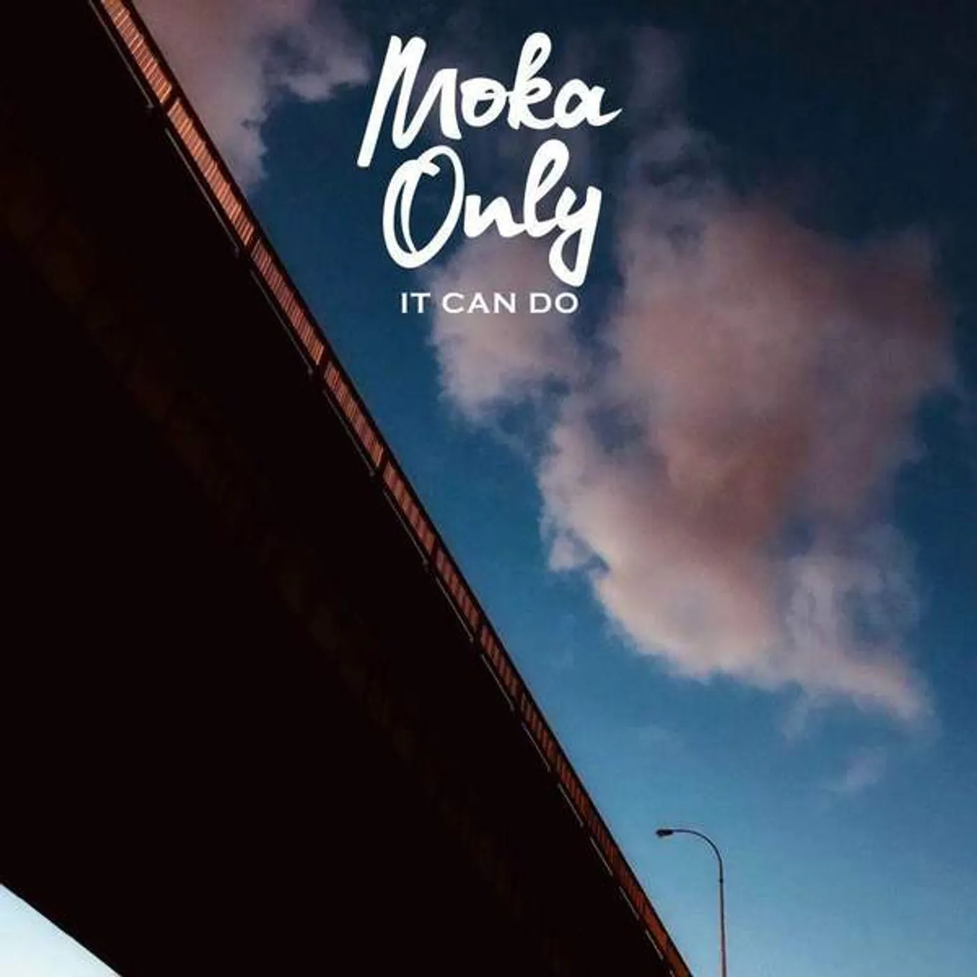 Moka Only IT CAN DO Vinyl Record