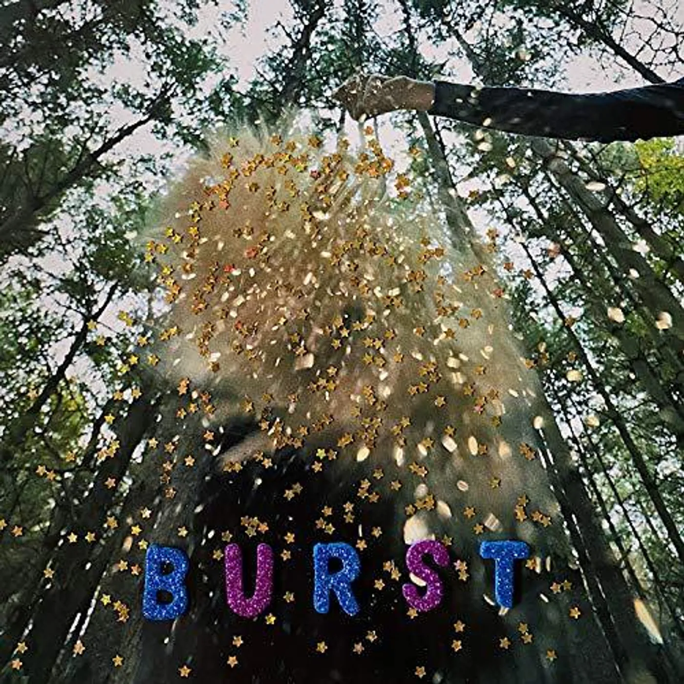 Snarls Burst Vinyl Record