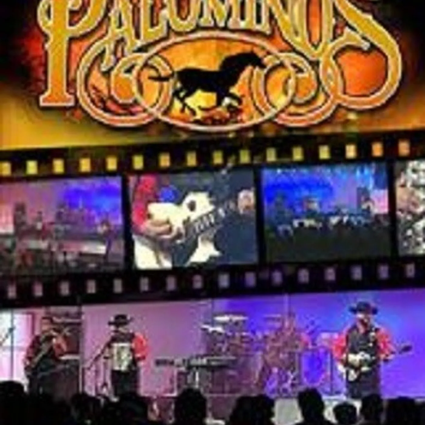 Los Palominos EN CONCERTO DVD
