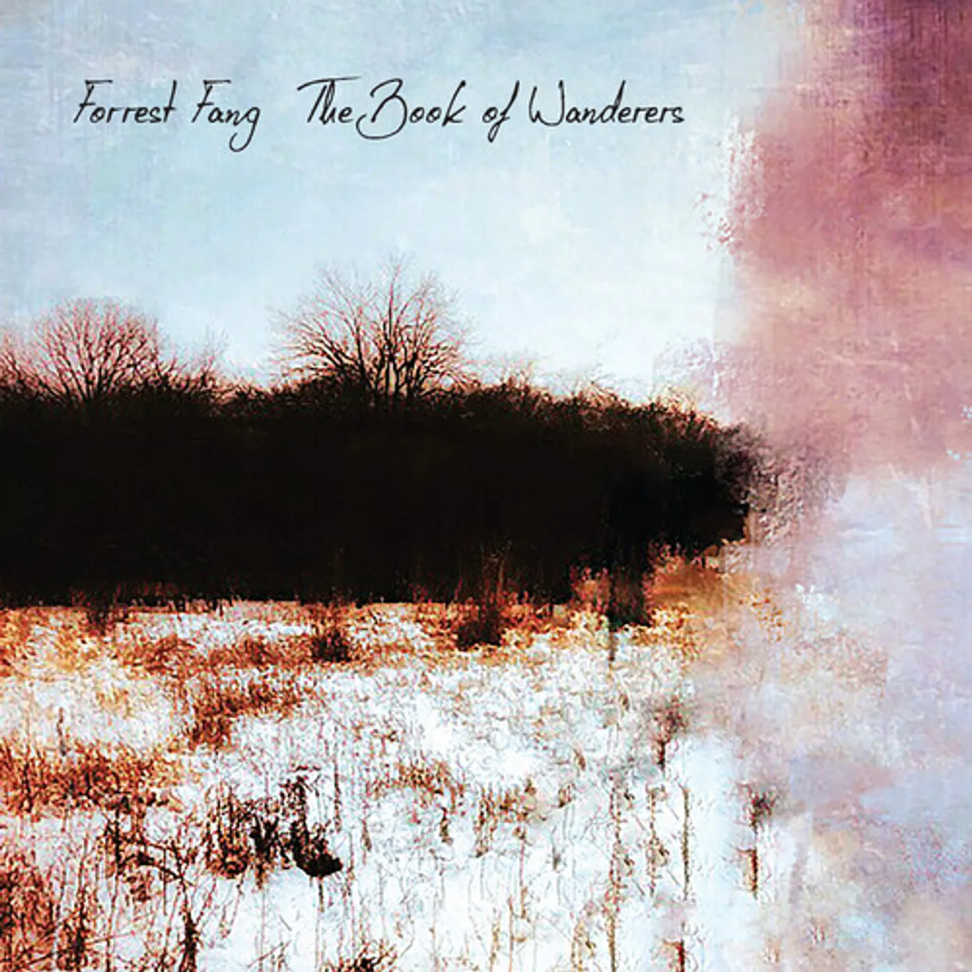 Forrest Fang BOOK OF WANDERERS CD