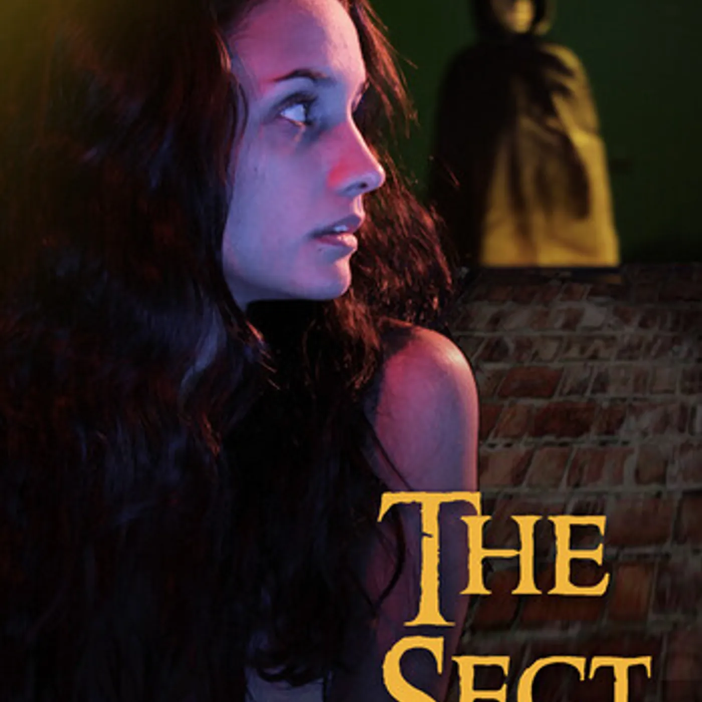 Sect DVD