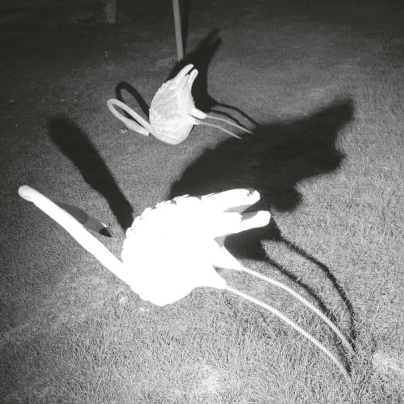 Siavash Amini MIMESIS OF NOTHINGNESS Vinyl Record