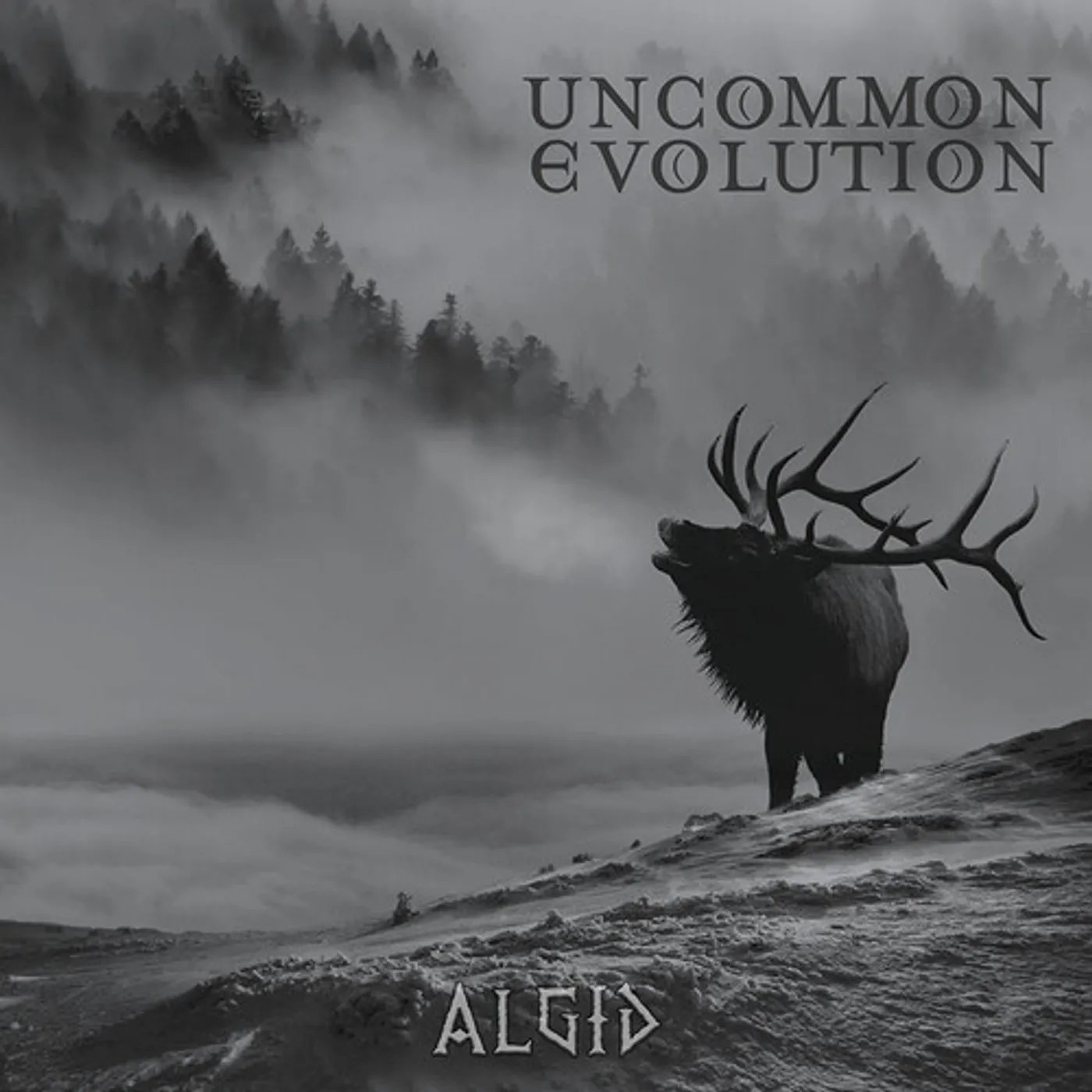 Uncommon Evolution ALGID CD