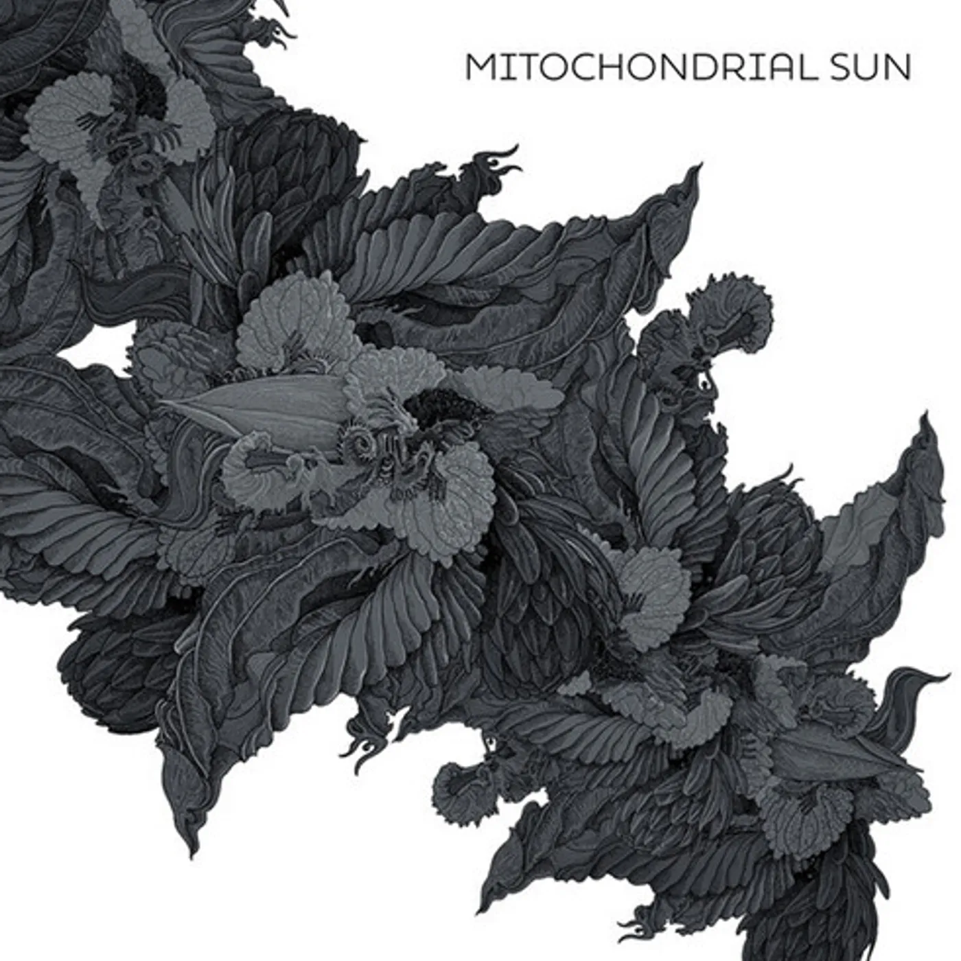 MITOCHONDRIAL SUN CD