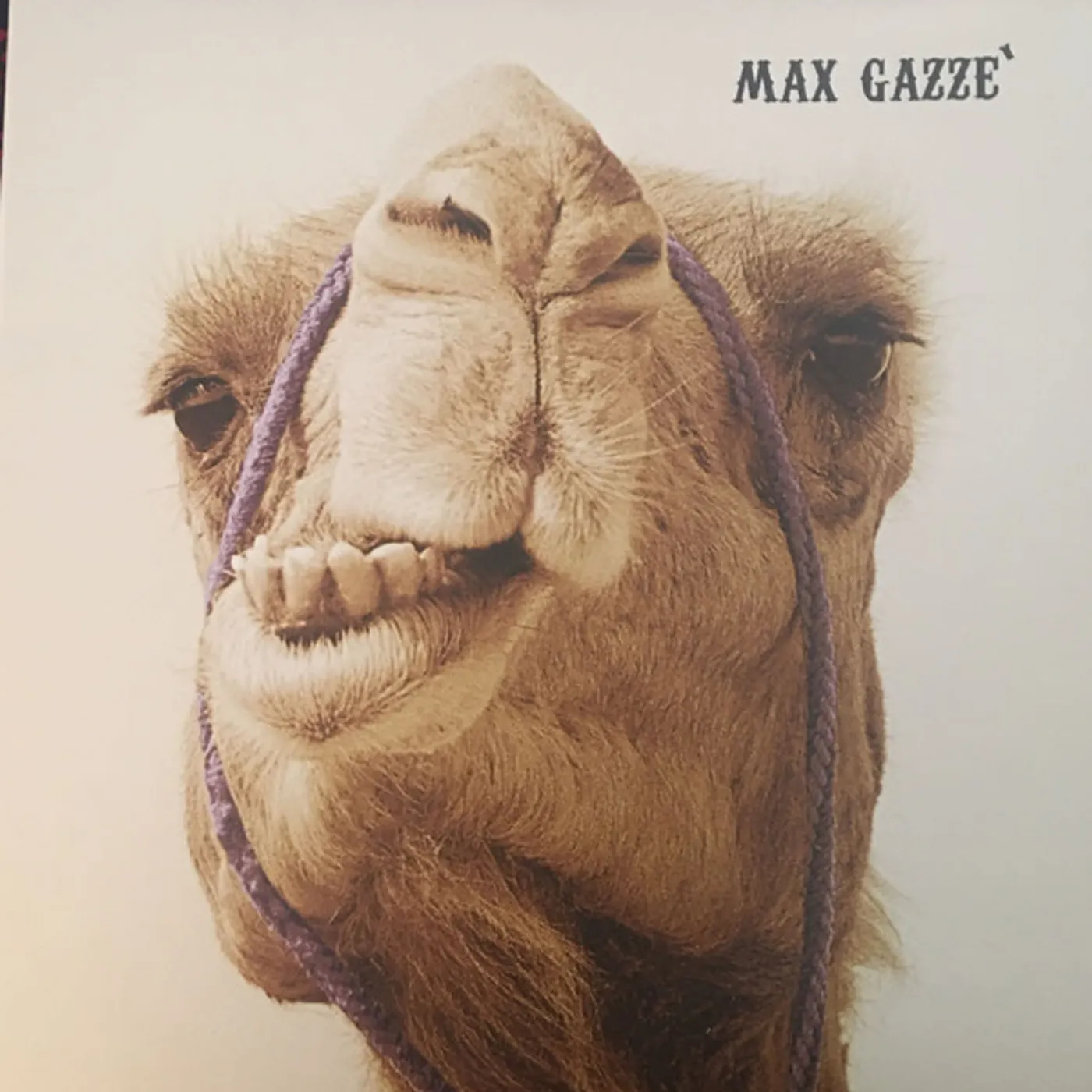 Max Gazzè Vinyl Record