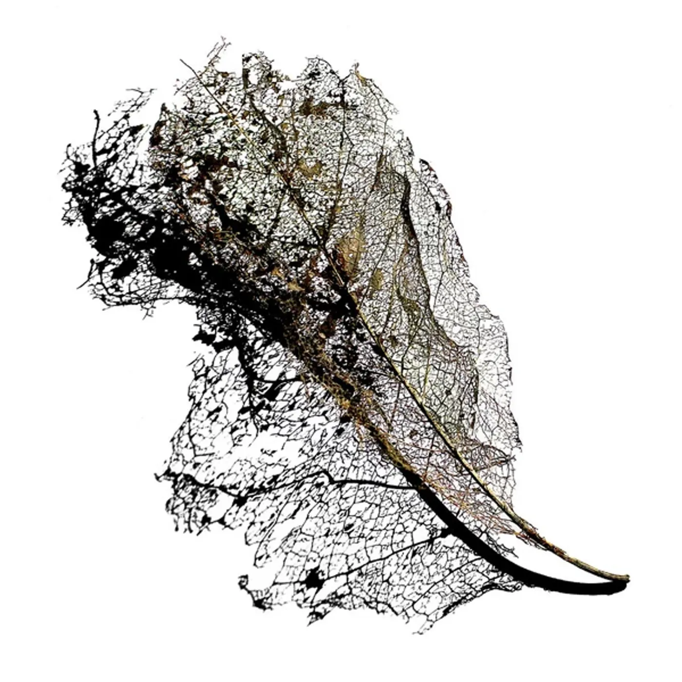 Max Cooper Earth Vinyl Record