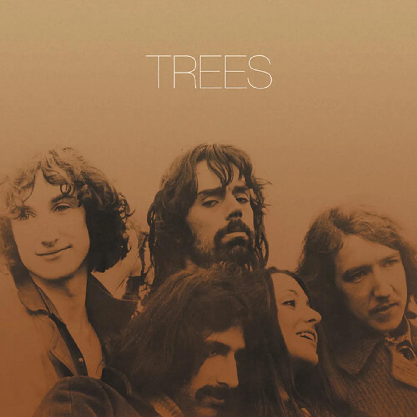Trees Vinyl Record