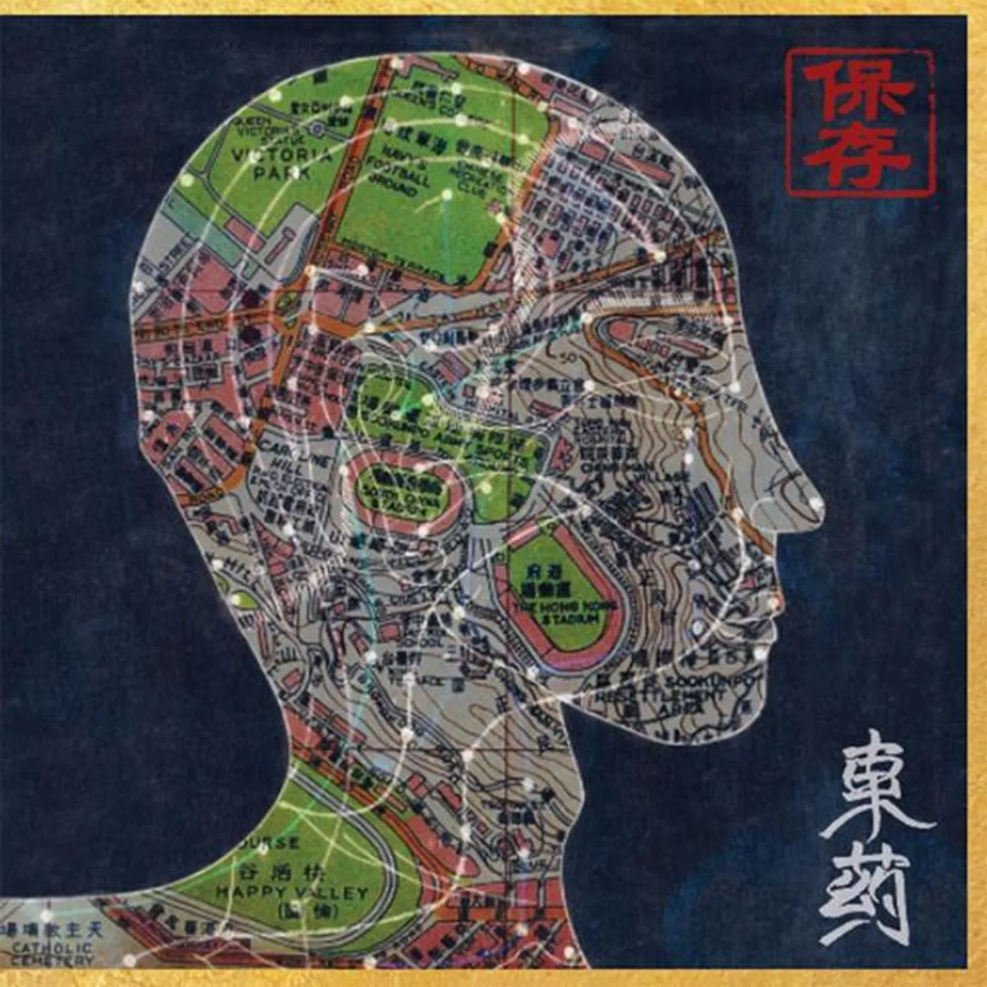 Preservation EASTERN MEDICINE WESTERN ILLNESS Vinyl Record