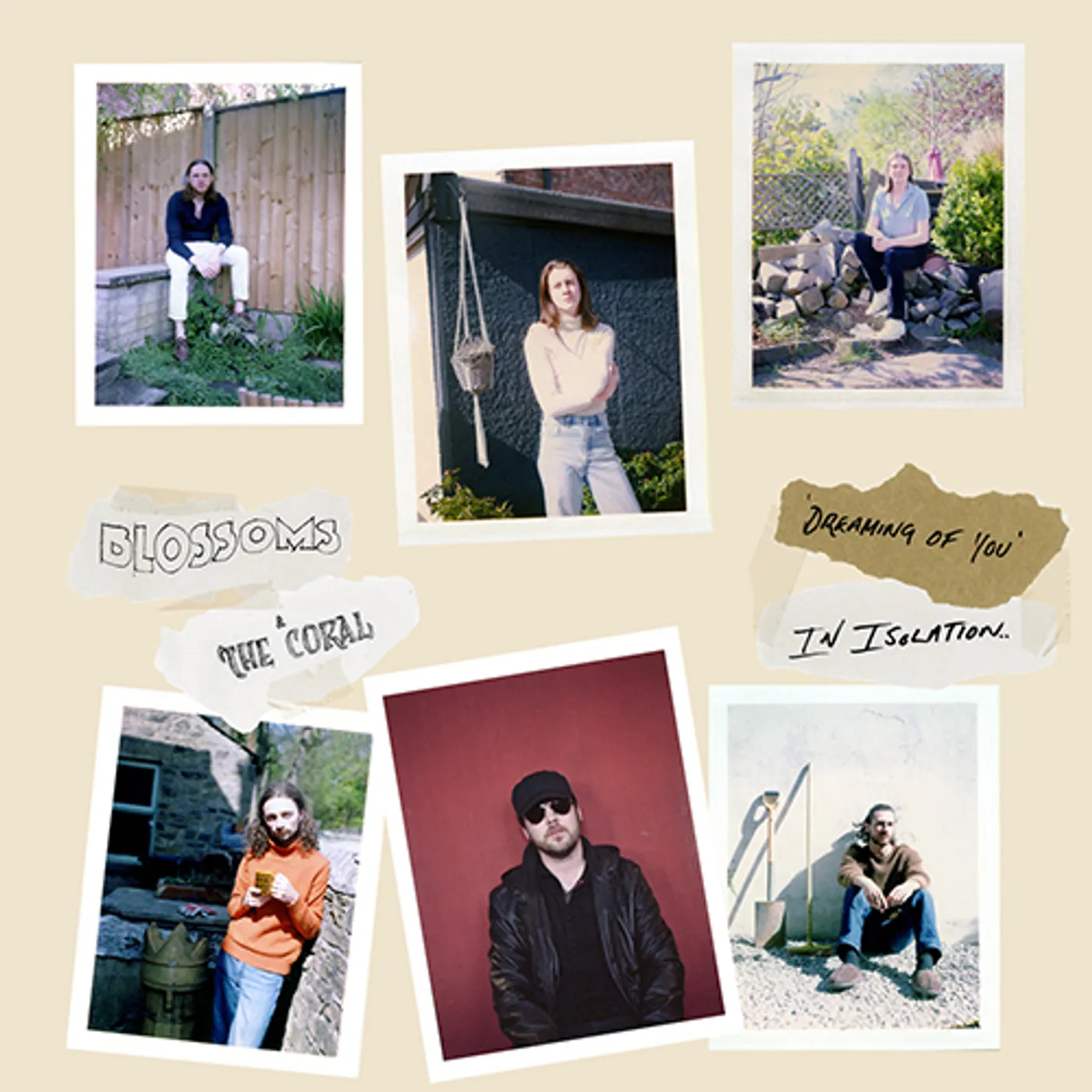 Blossoms IN THE PLAZA THEATRE/STOCKPORT (2LP/OPAQUE BLUE VINYL/180G/IMPORT) Vinyl Record