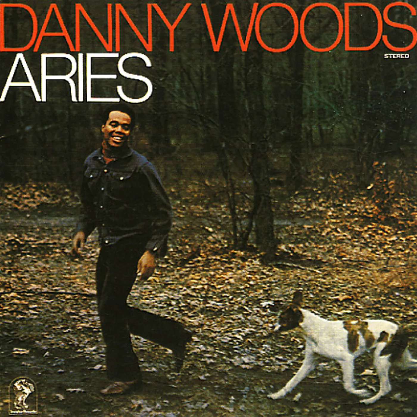 Danny Woods AIRIES Vinyl Record