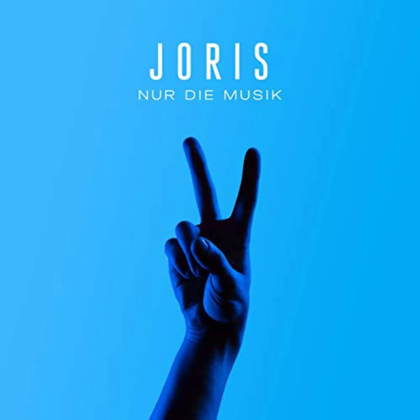 JORIS Nur die Musik Vinyl Record