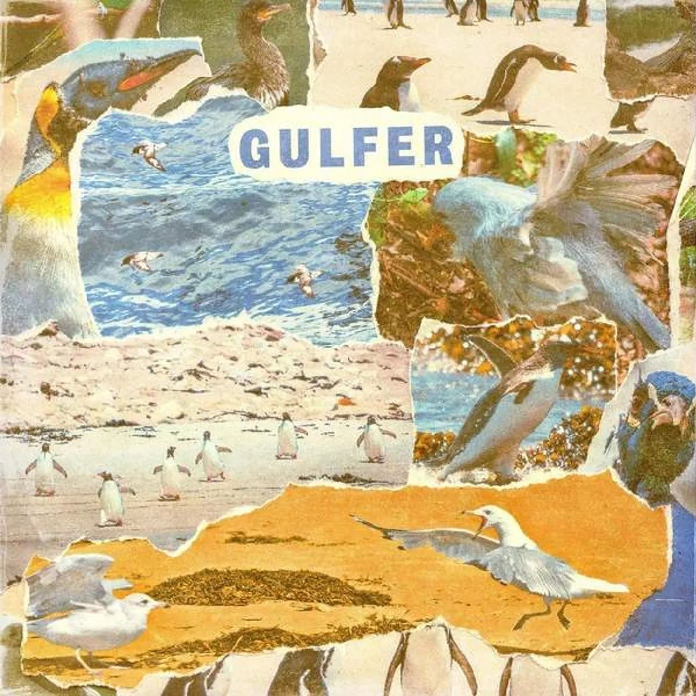 Gulfer Vinyl Record