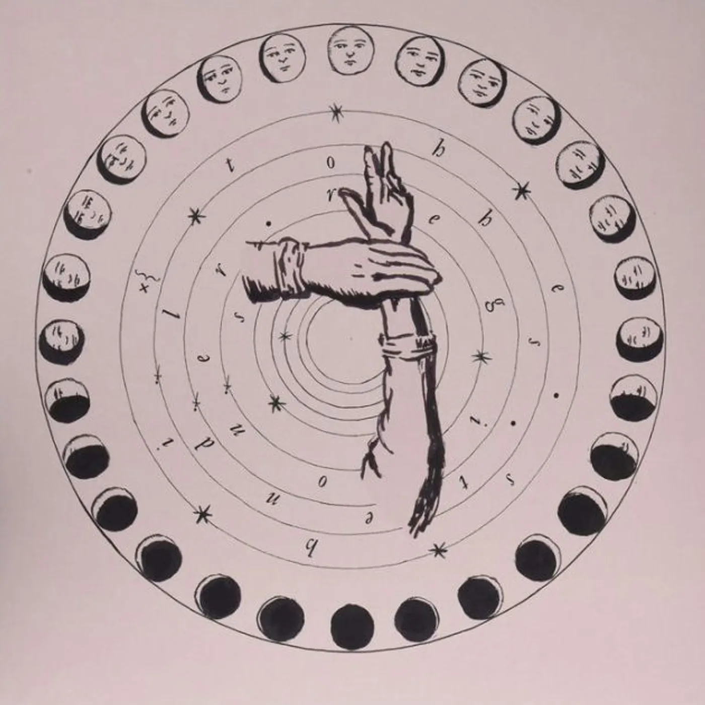 The Shilohs Tender Regions Vinyl Record