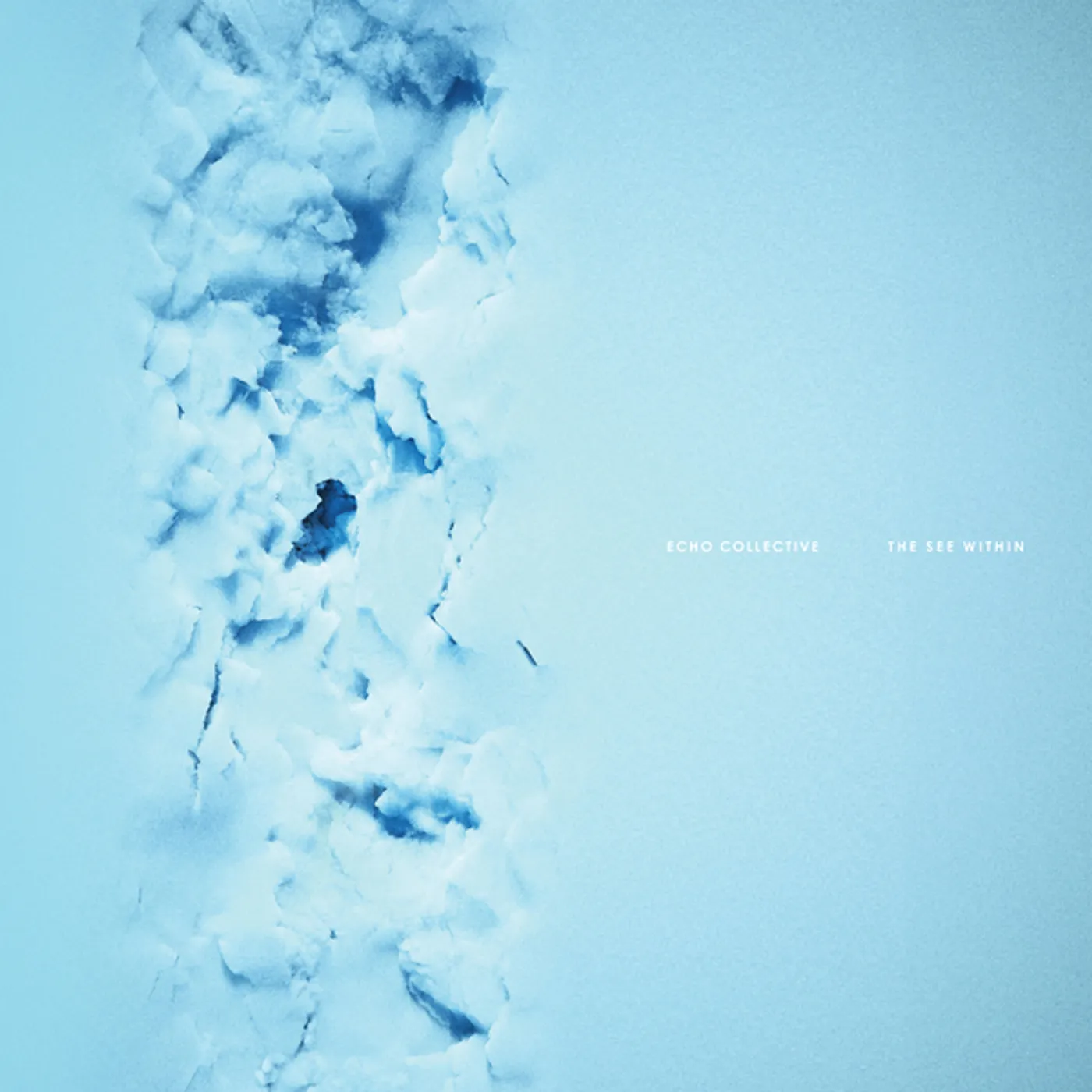 Echo Collective SEE WITHIN Vinyl Record