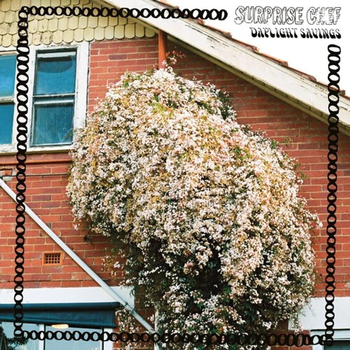 Surprise Chef DAYLIGHT SAVINGS CD