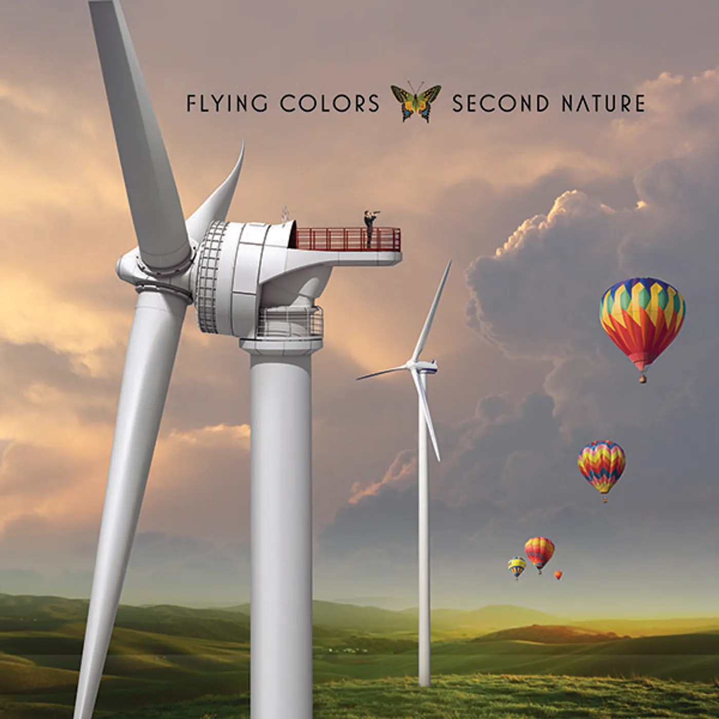 Flying Colors Second Nature Vinyl Record