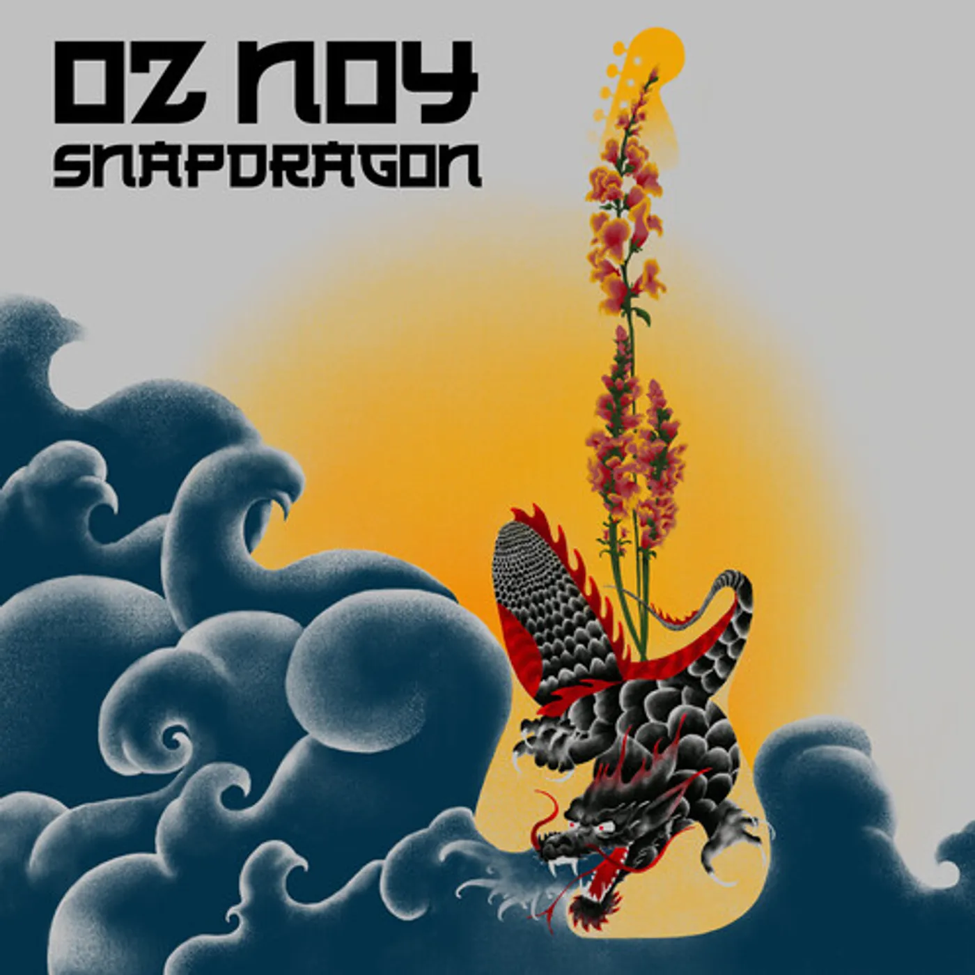 Oz Noy SNAPDRAGON CD