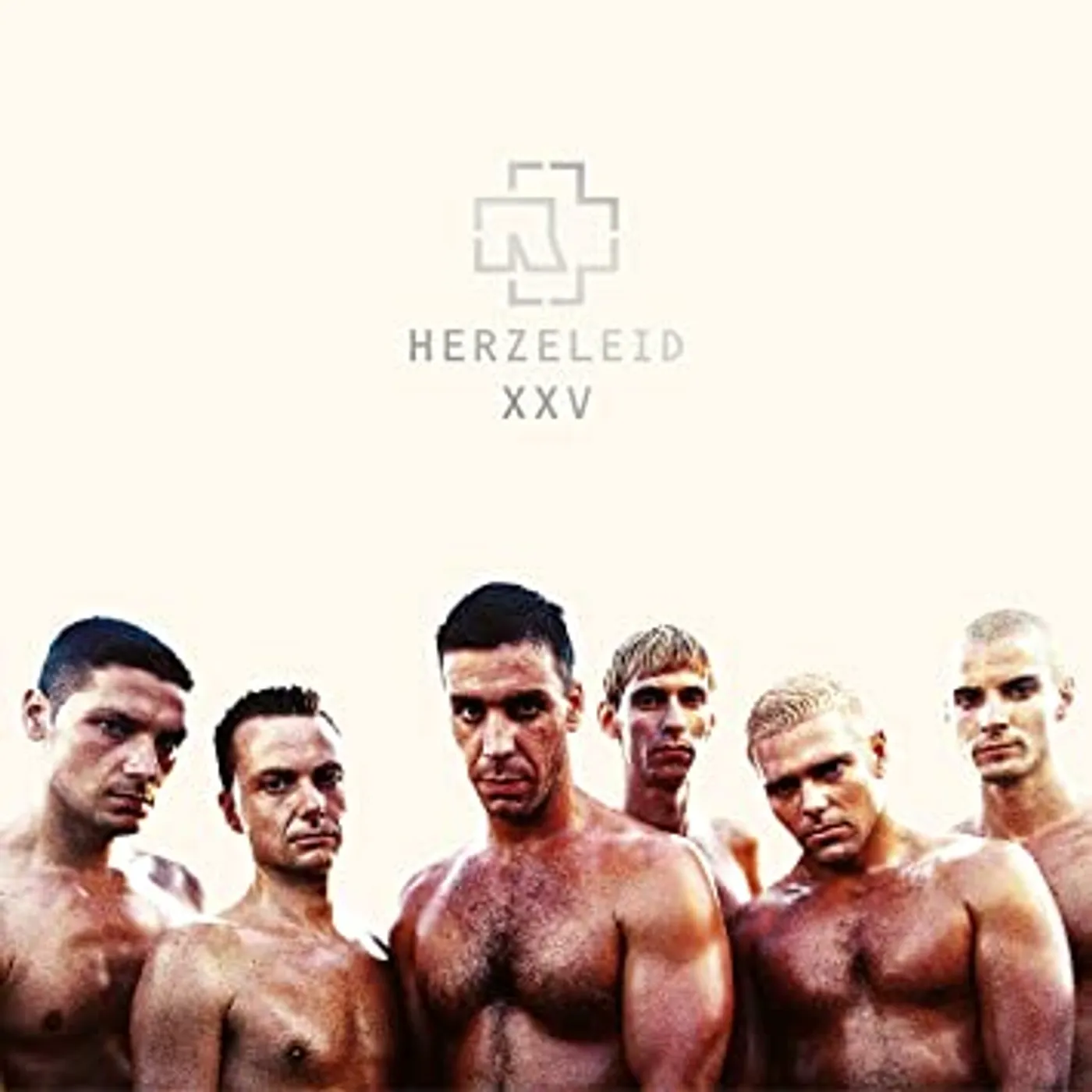Rammstein HERZELEID - XXV ANNIVERSARY EDITION Vinyl Record