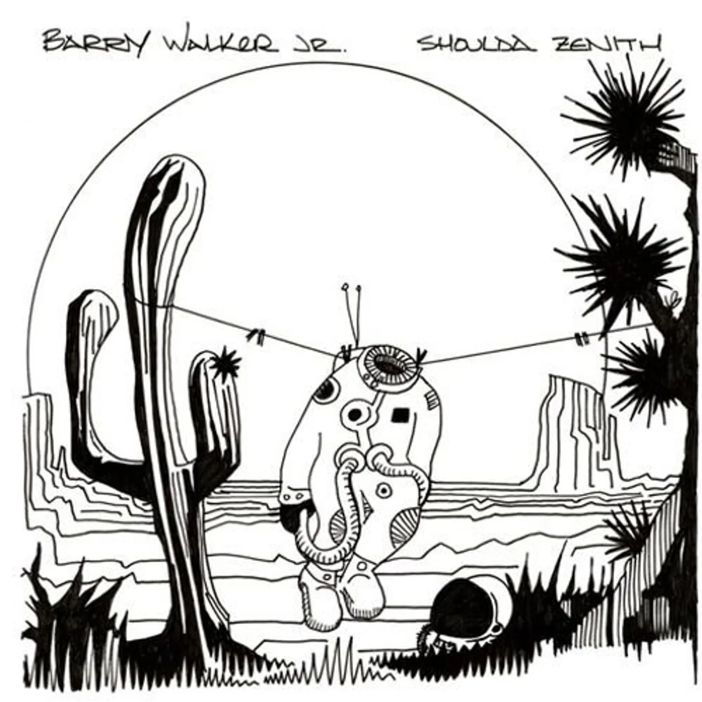Barry Walker Jr. Shoulda Zenith Vinyl Record