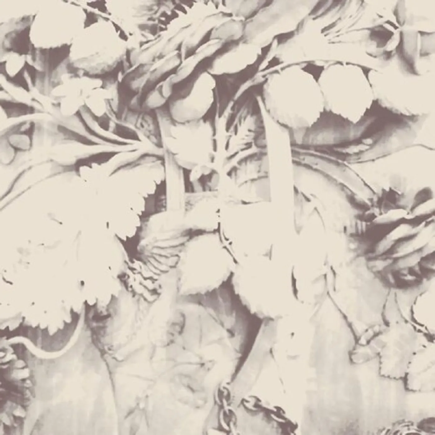 Sarah Davachi FIGURES IN OPEN AIR CD