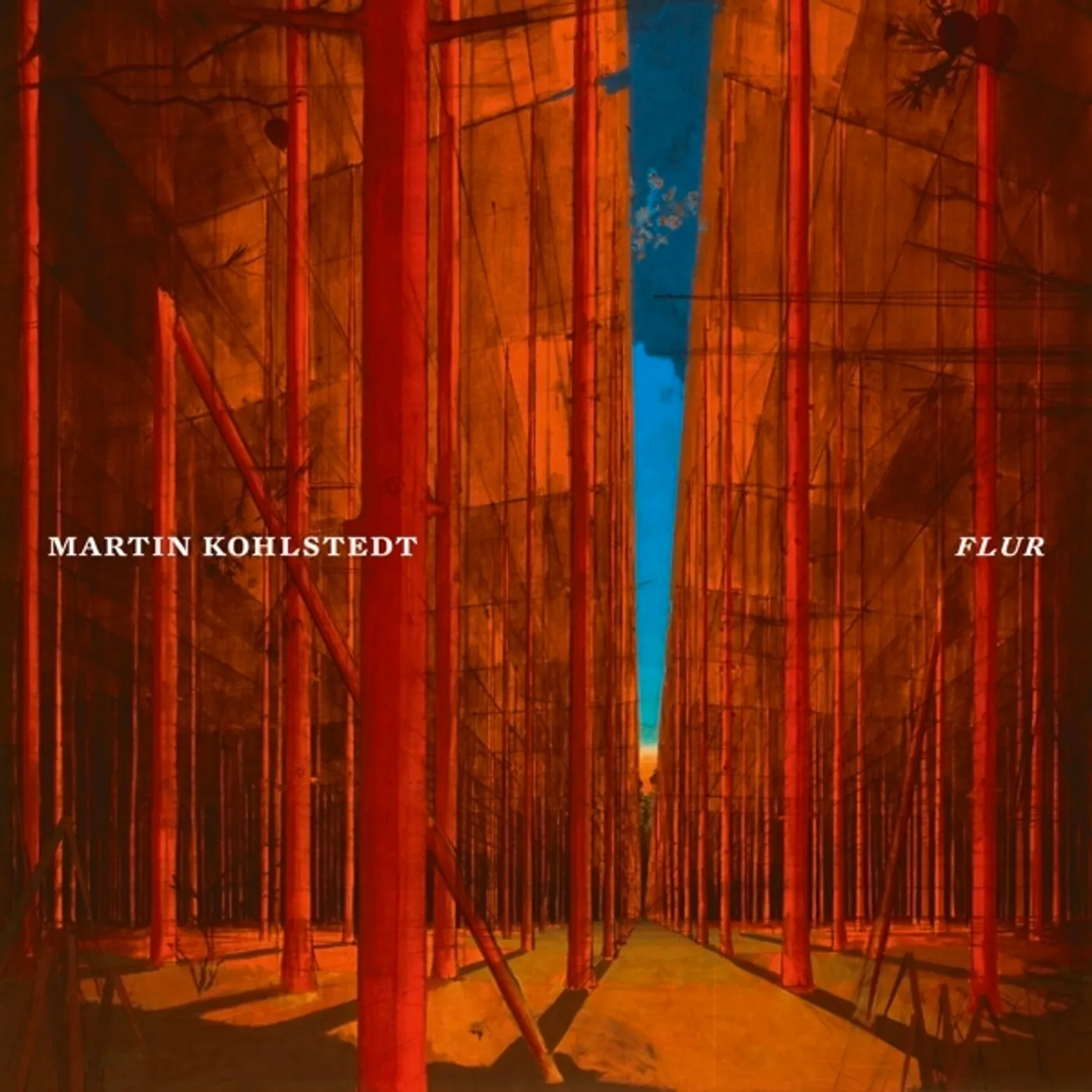 Martin Kohlstedt FLUR Vinyl Record