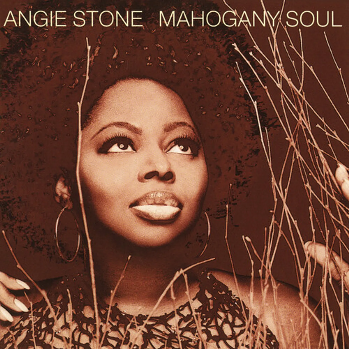 Angie Stone MAHOGANY SOUL CD