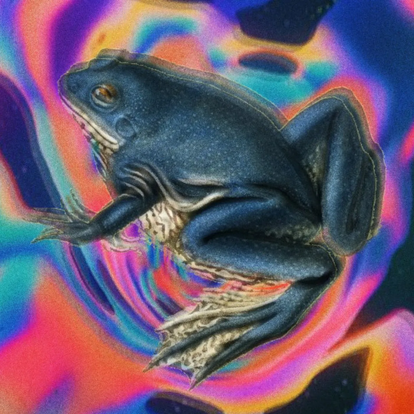 Hundredth SOMEWHERE NOWHERE Vinyl Record