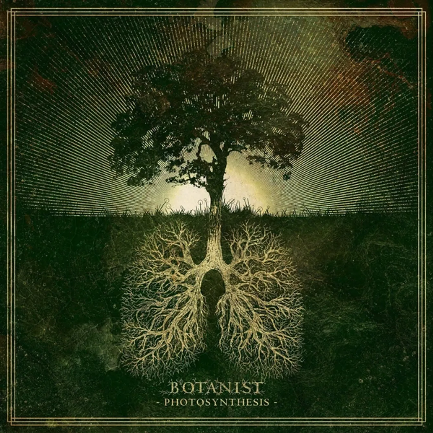 Botanist PHOTOSYNTHESIS Vinyl Record