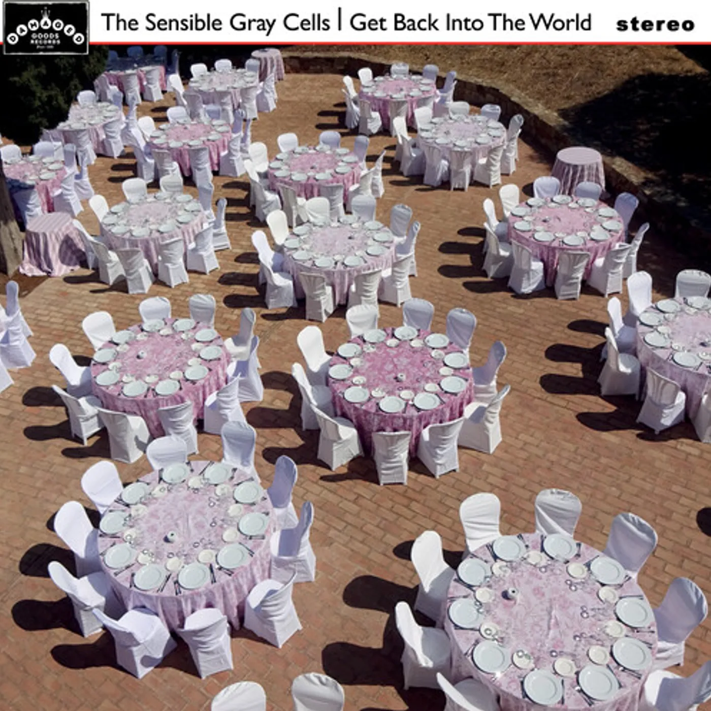 The Sensible Gray Cells GET BACK INTO THE WORLD CD