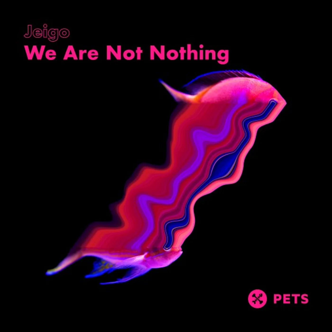 Jeigo We Are Not Nothing Vinyl Record