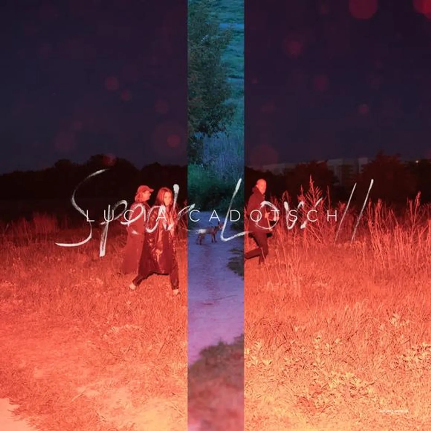 Lucia Cadotsch Speak Low II Vinyl Record