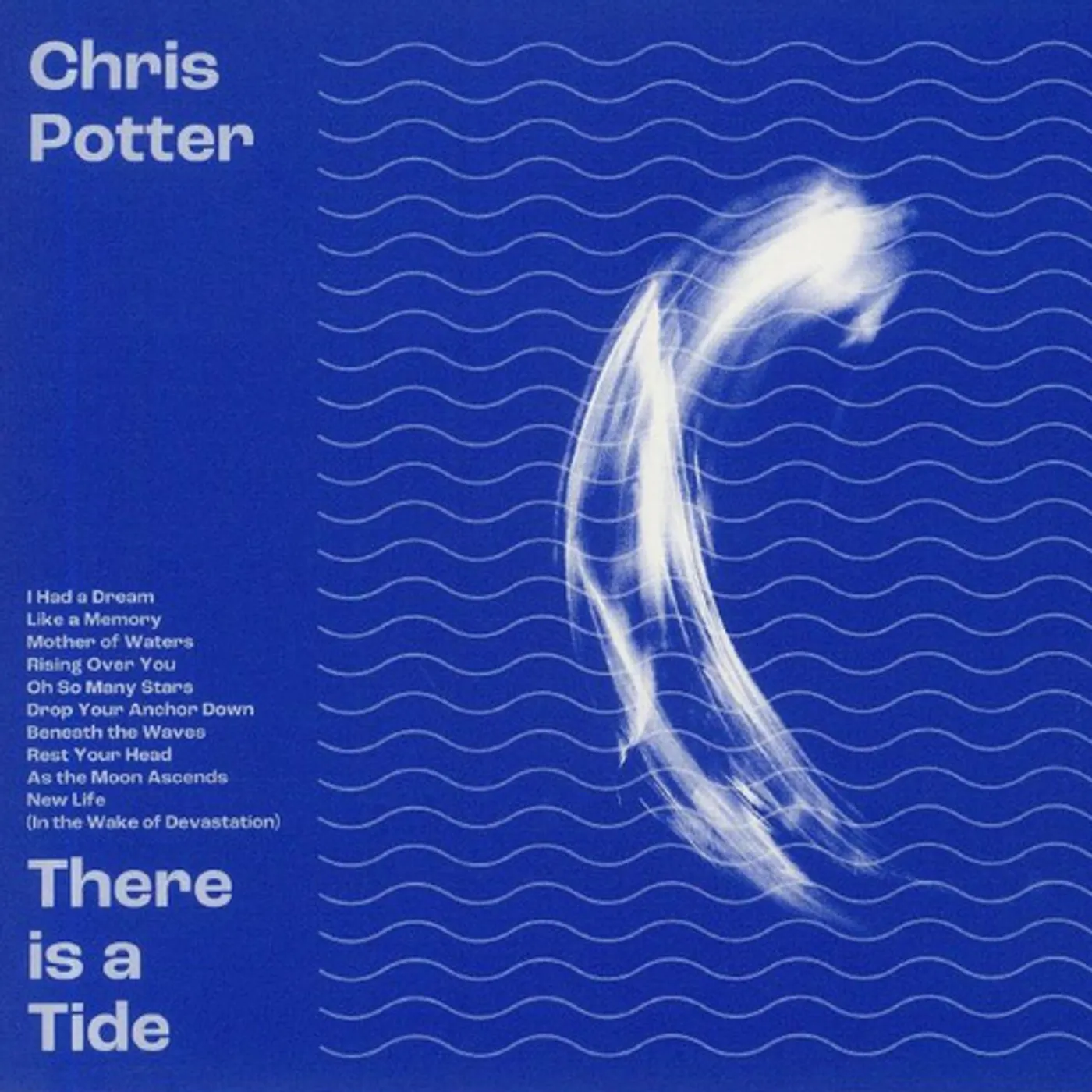 Chris Potter There is a Tide Vinyl Record