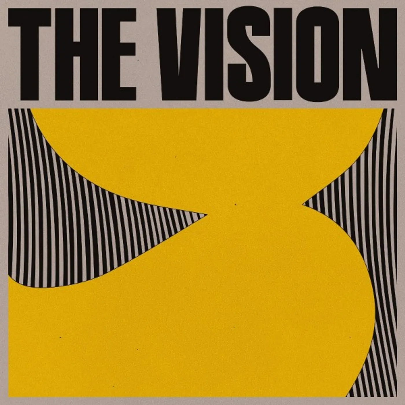 VISION Vinyl Record
