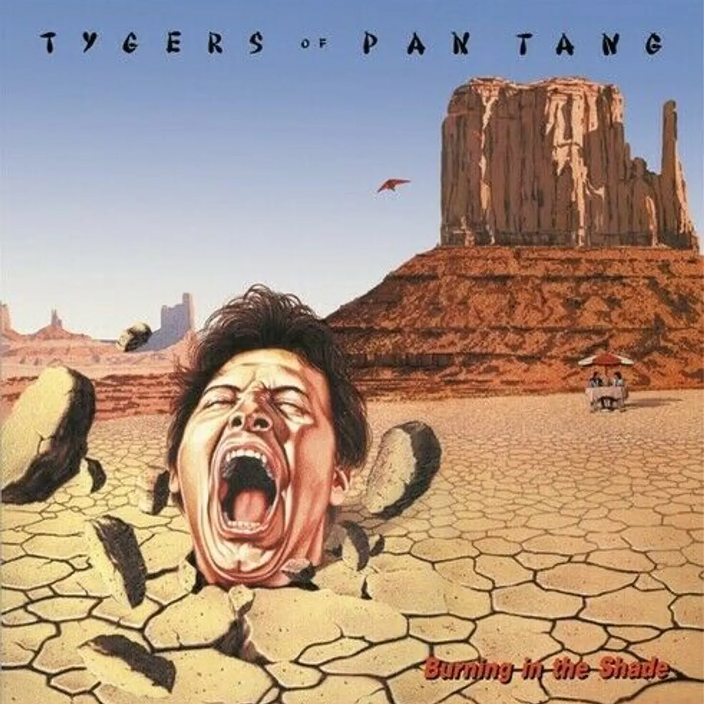 Tygers Of Pan Tang Burning In The Shade Vinyl Record