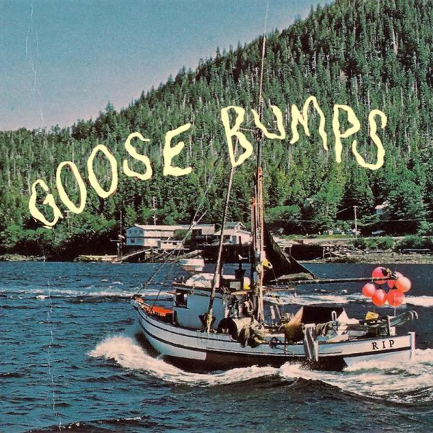 Boyscott Goose Bumps Vinyl Record
