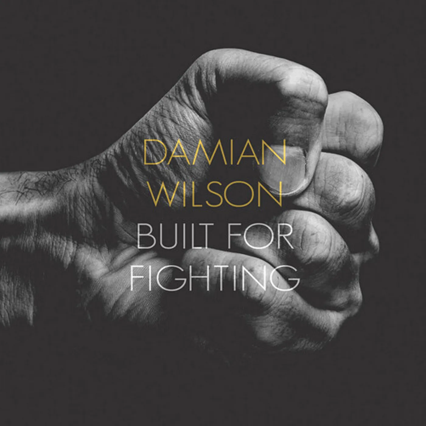 Damian Wilson BUILT FOR FIGHTING CD