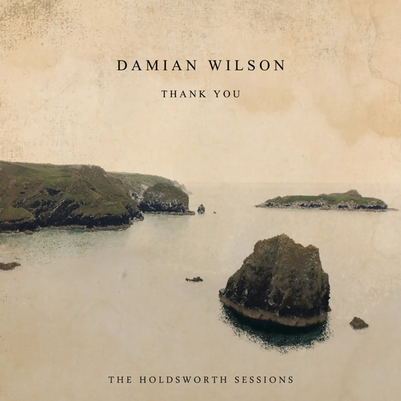 Damian Wilson THANK YOU (THE HOLDSWORTH SESSIONS) Vinyl Record