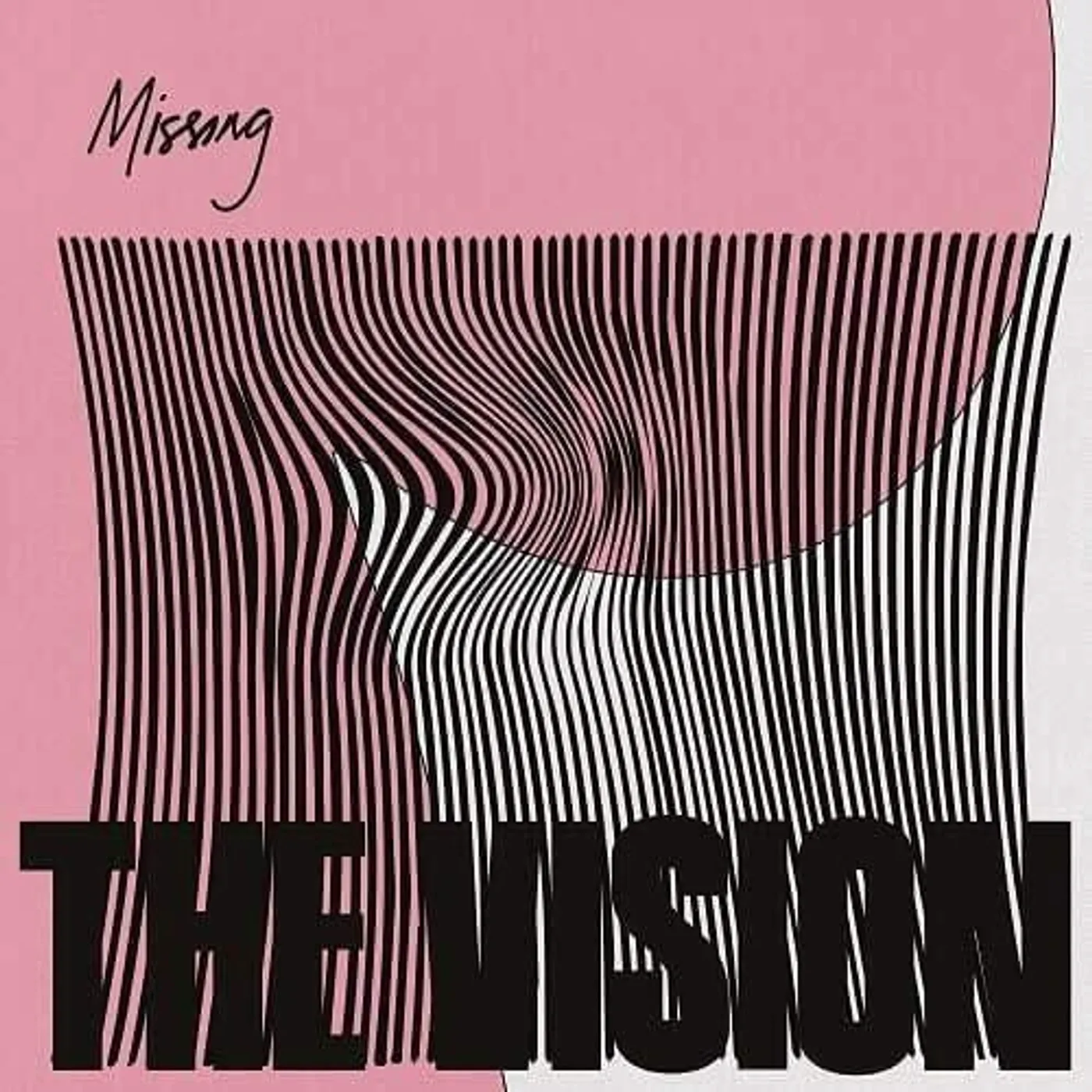 Vision MISSING Vinyl Record