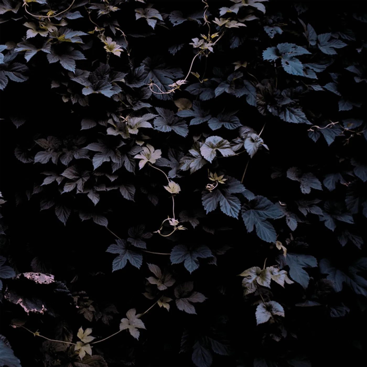 Michael Vallera Vivid Flu Vinyl Record