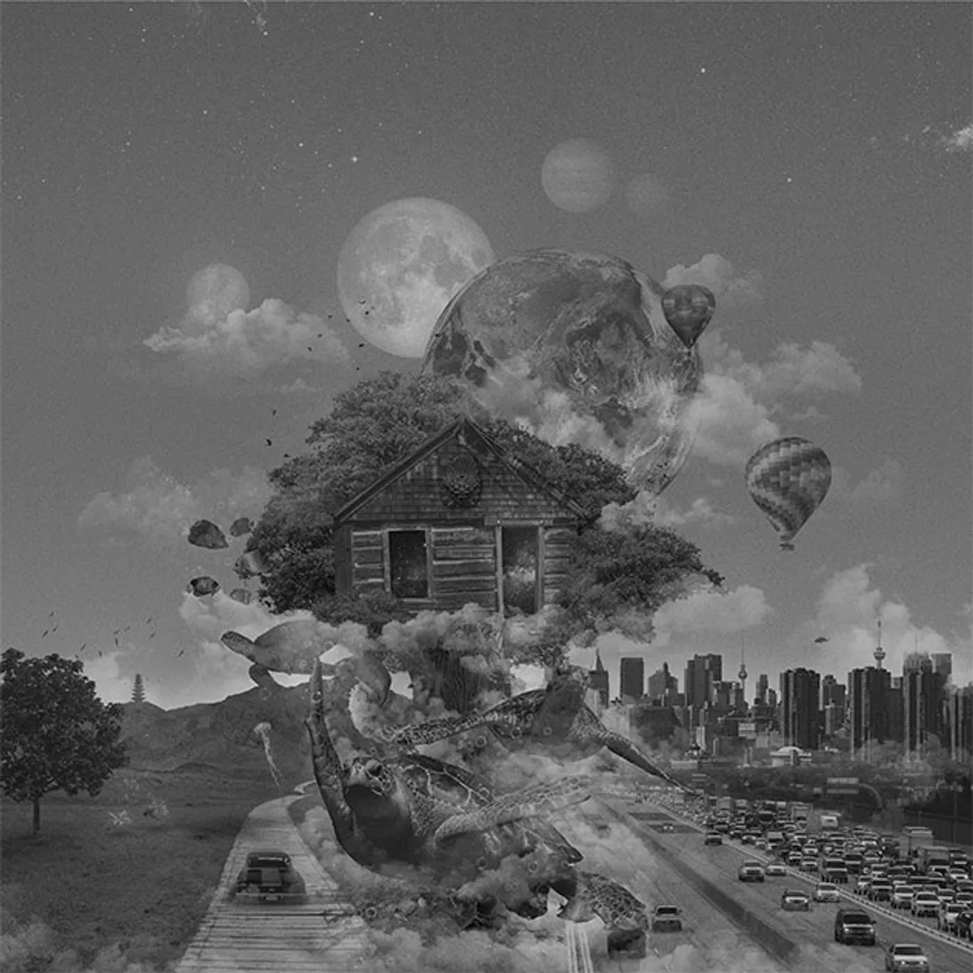 Nadia Struiwigh WHRRu Vinyl Record