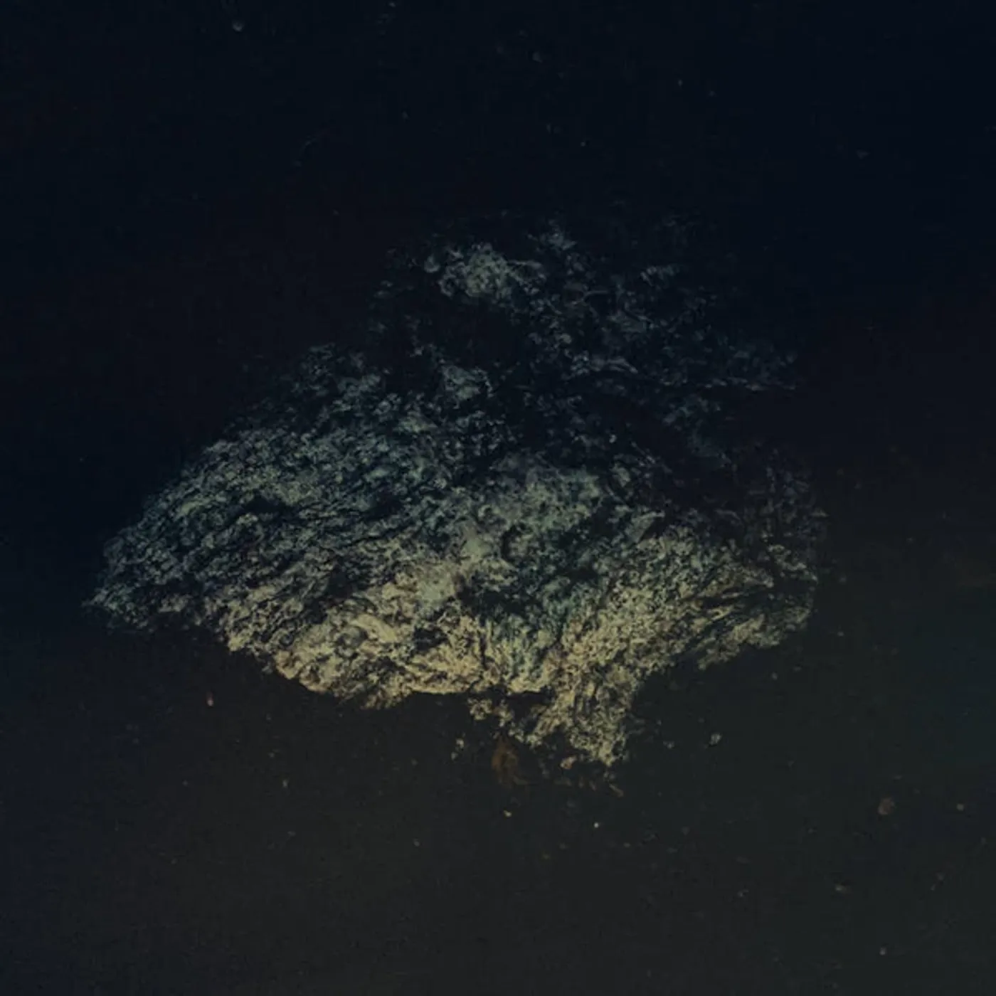 Multicast Dynamics Lost World Vinyl Record