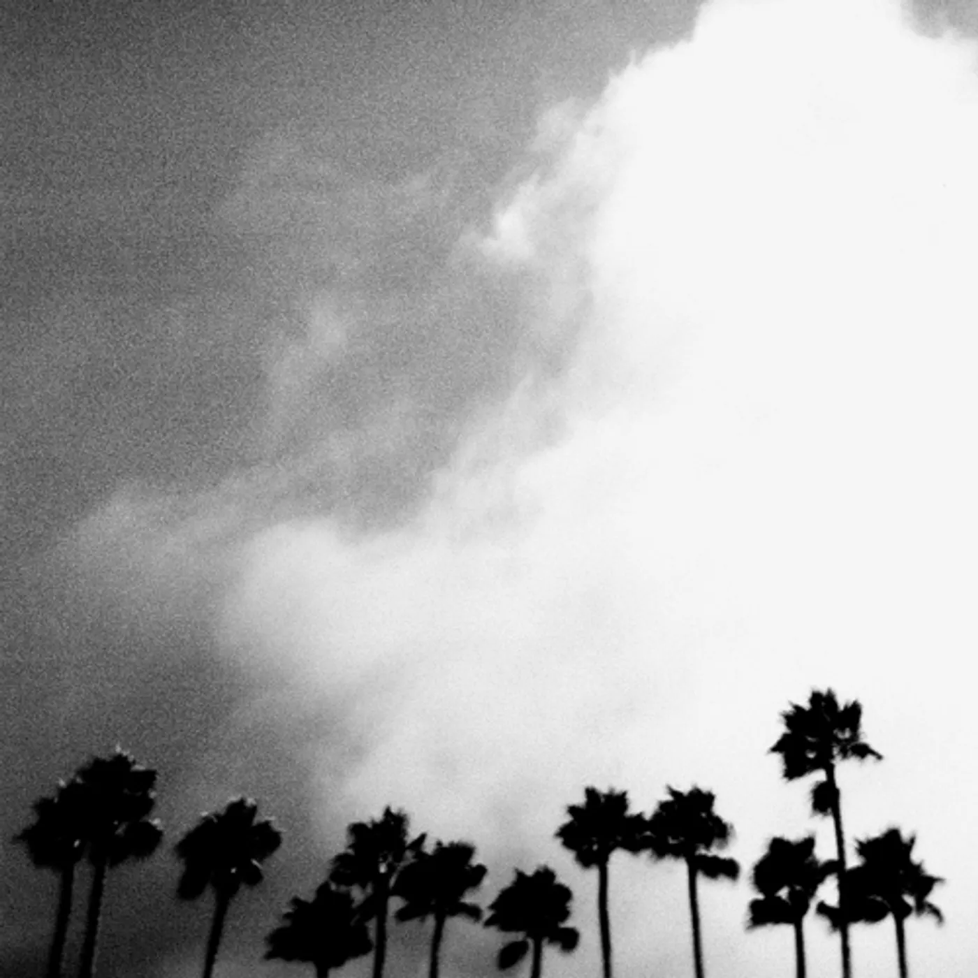 Richard Rose Radiation Breeze Vinyl Record