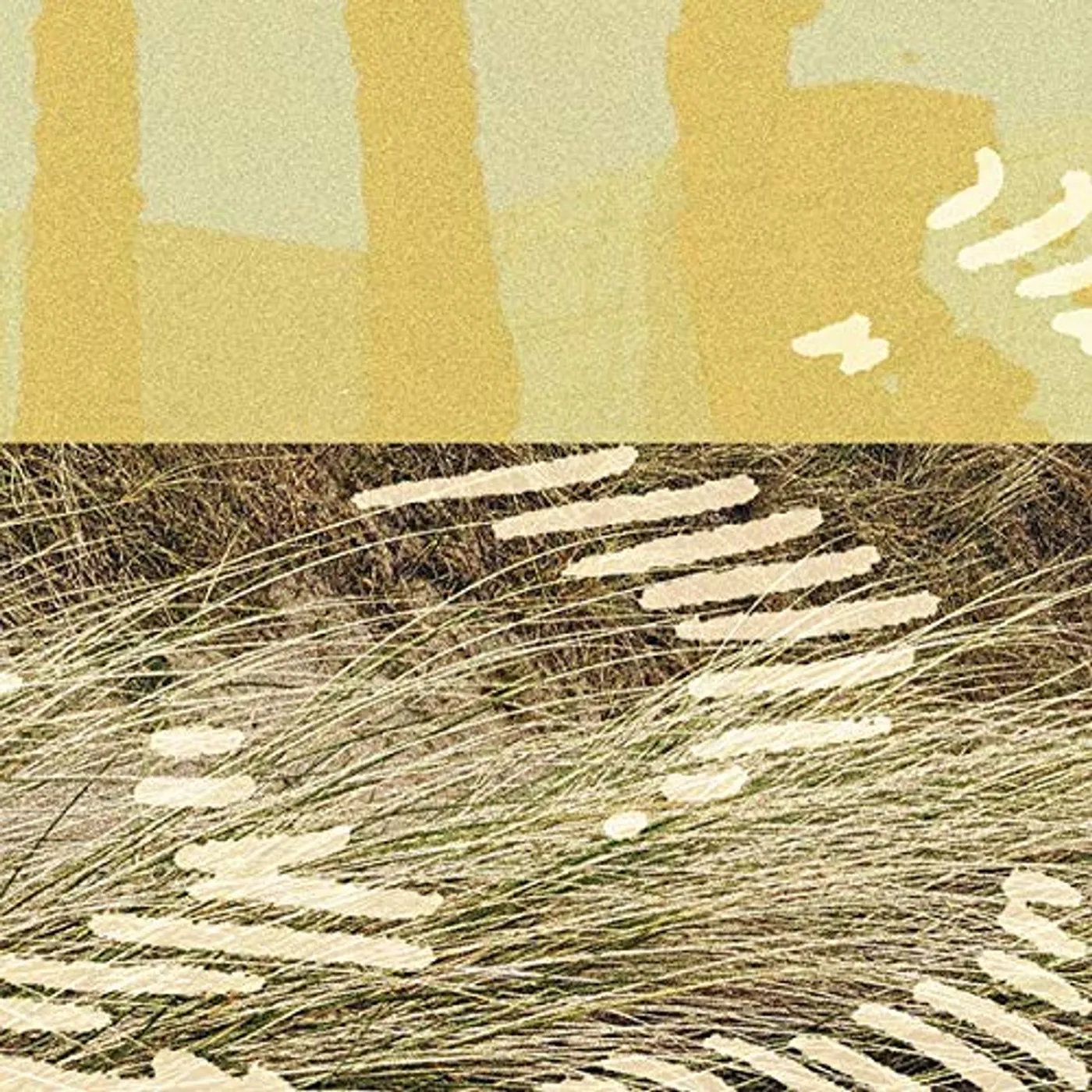 Parris TERRAPIN Vinyl Record