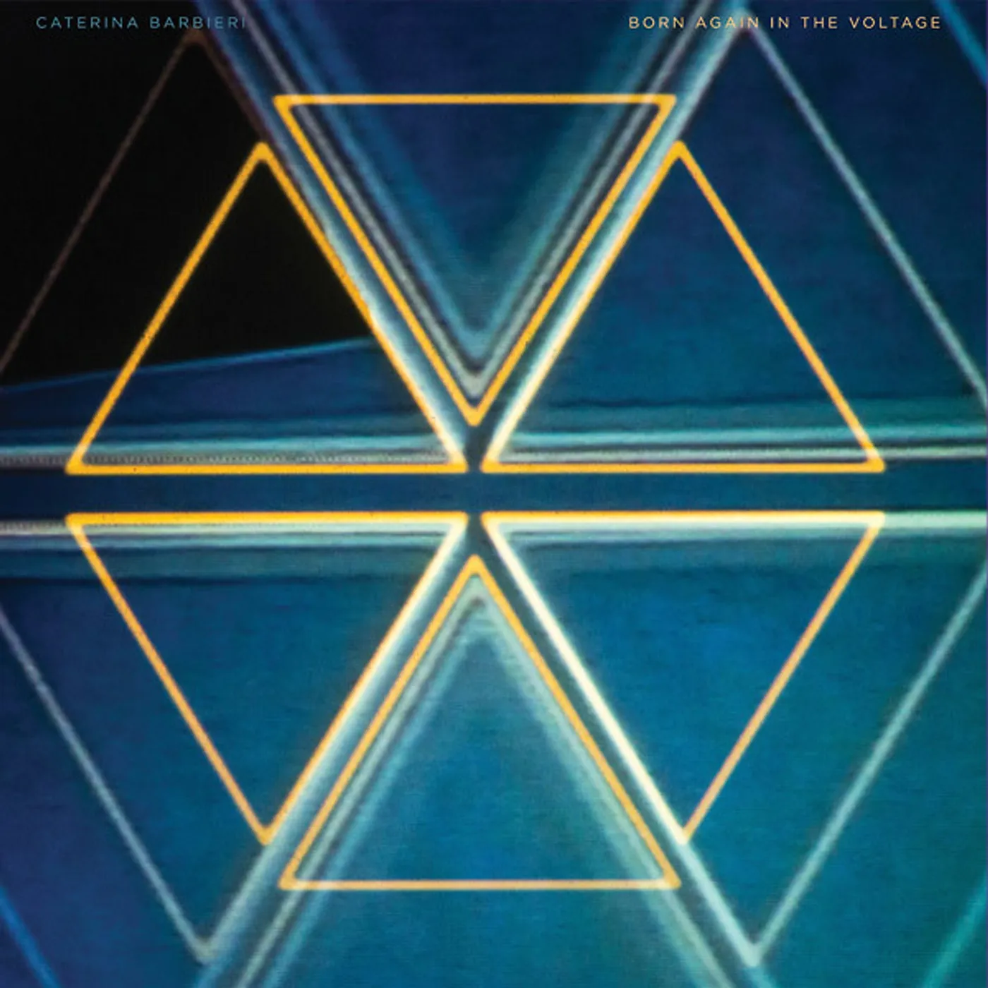 Caterina Barbieri BORN AGAIN IN THE VOLTAGE CD