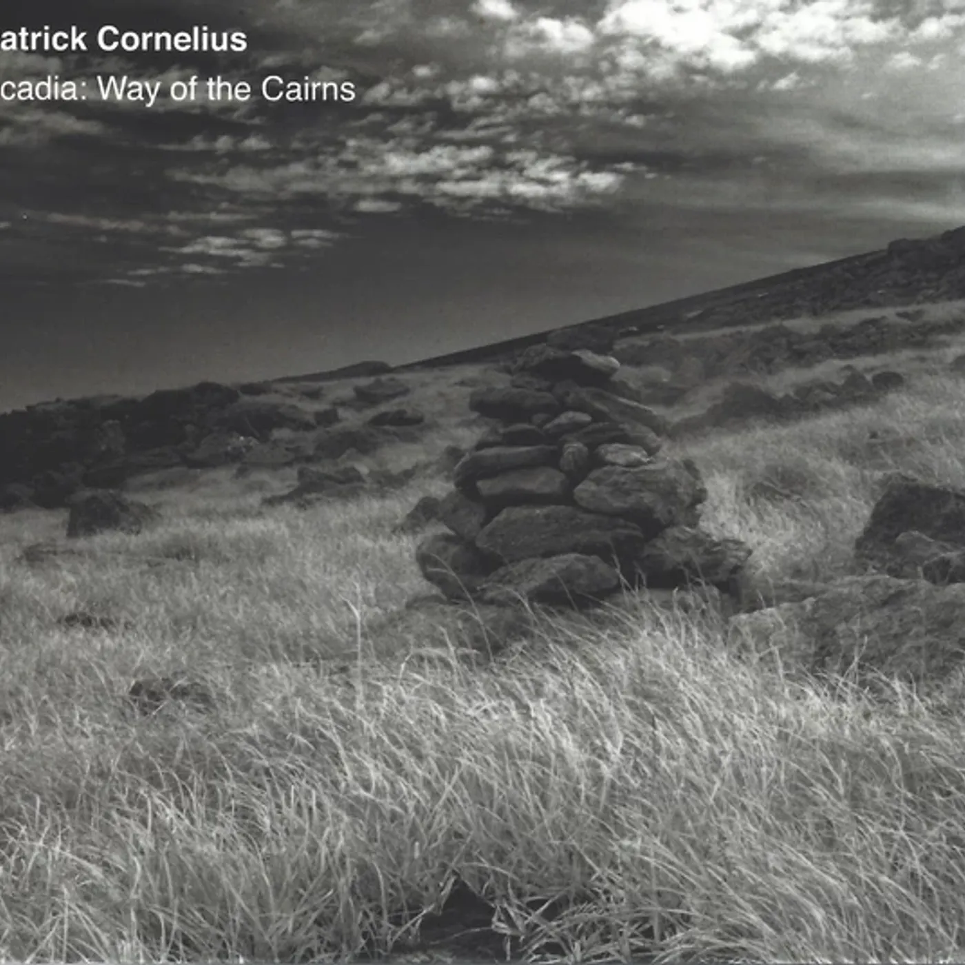 Patrick Cornelius Acadia: Way of the Cairns Vinyl Record