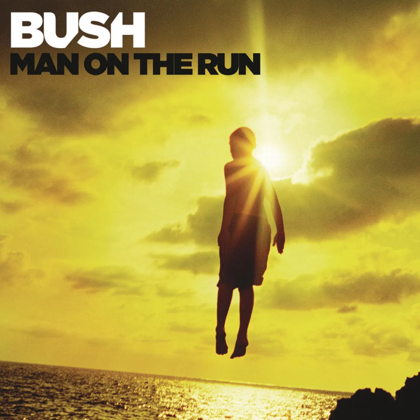 Bush MAN ON THE RUN CD